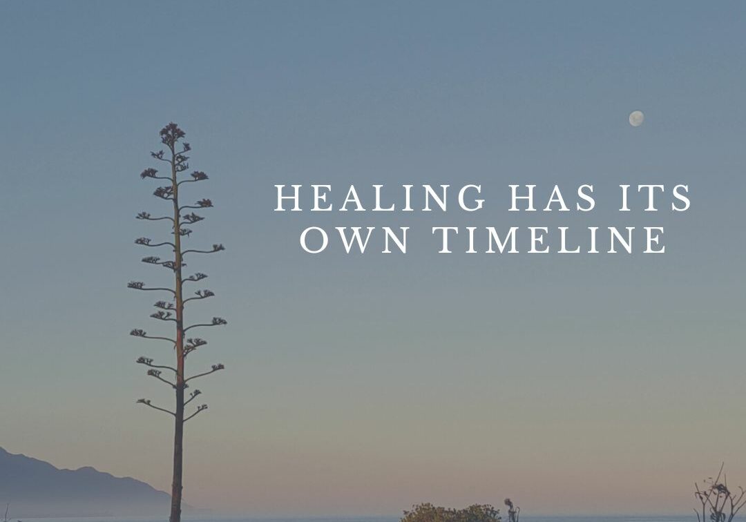 Healing Has its Own Timeline (Instagram Post (Square))